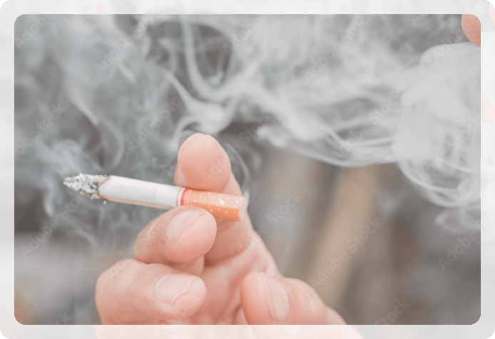 微生物（細菌因子）